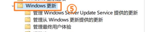 Win11如何禁止更新?win11永久禁止更新的方法