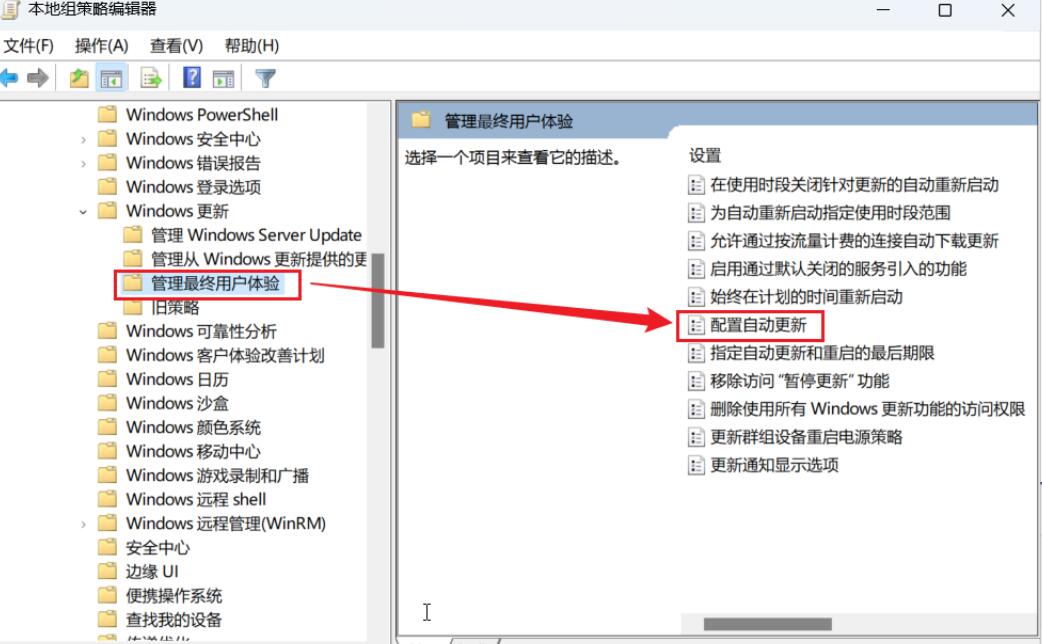 Win11如何禁止更新?win11永久禁止更新的方法