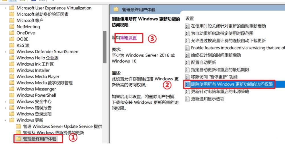 Win11如何禁止更新?win11永久禁止更新的方法