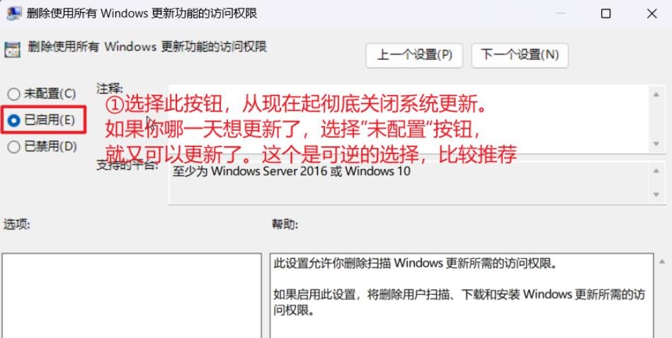 Win11如何禁止更新?win11永久禁止更新的方法